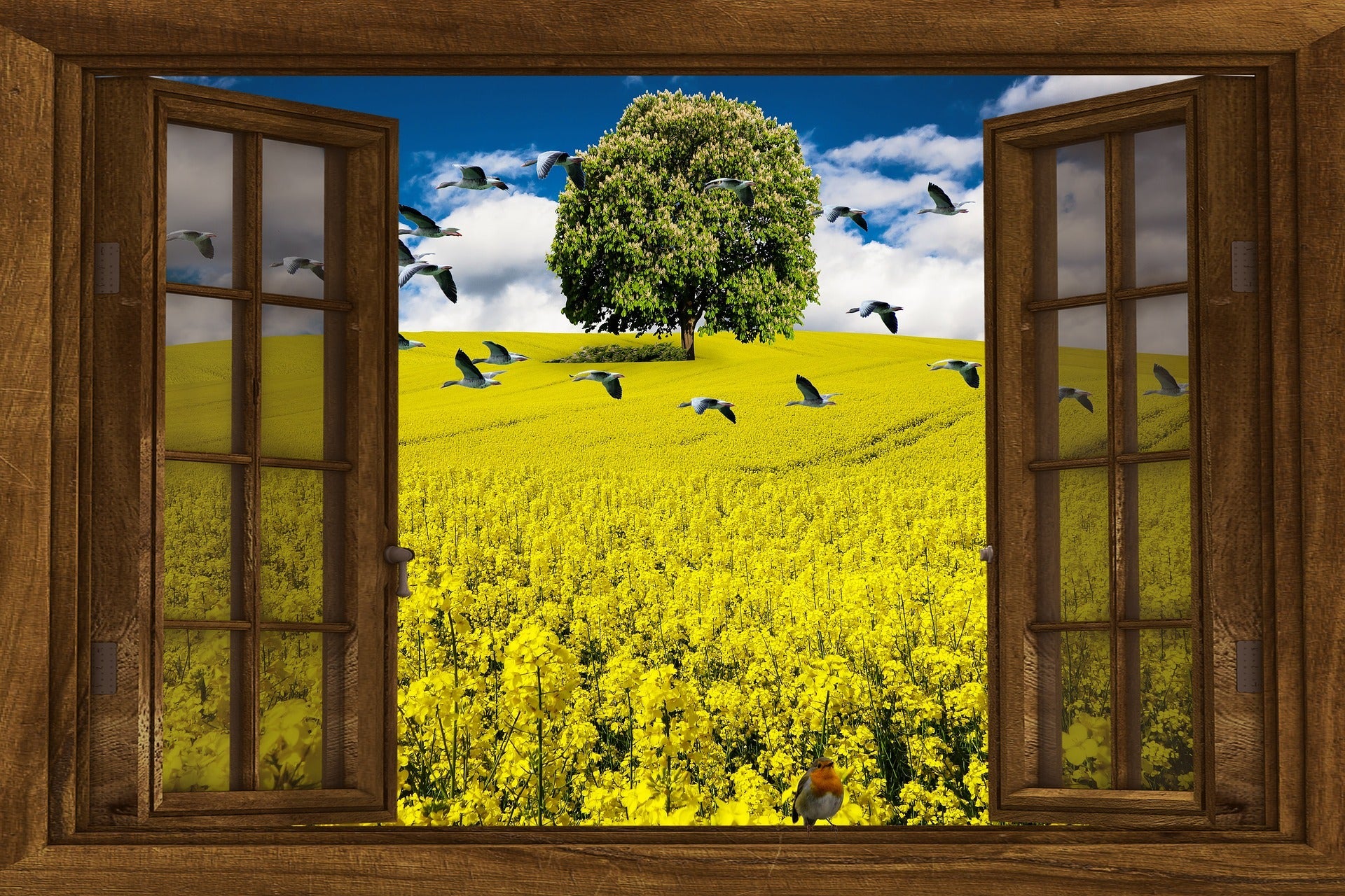 開き窓の5つのメリット