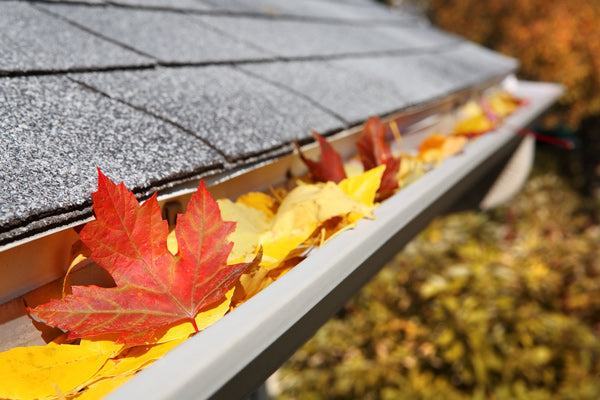 Fall home maintenance checklist - Get ready for winter