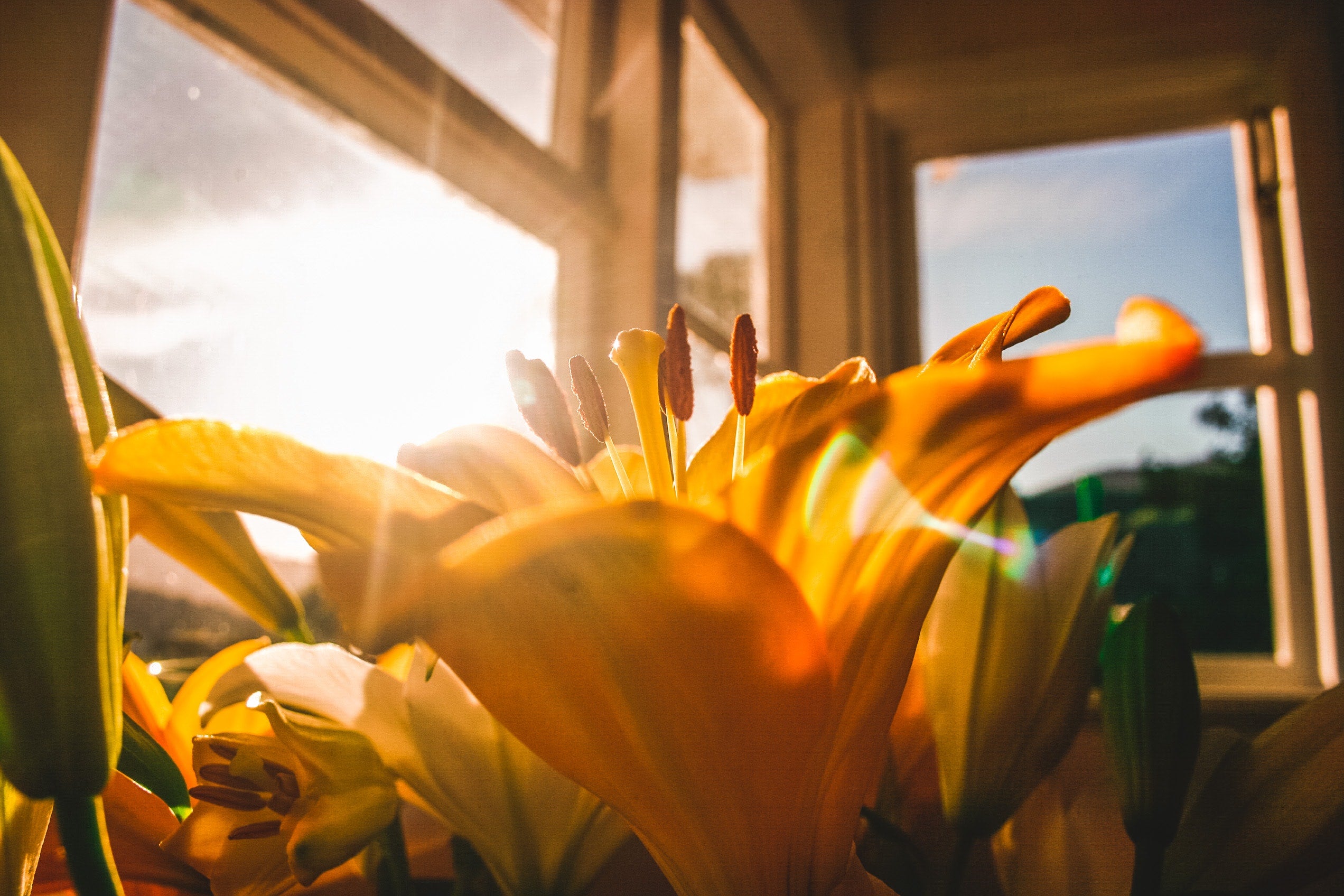 7 Ways Natural Light Benefits Our Health