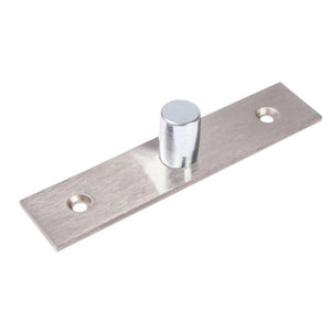 Surface Mounted Free Swinging Pivot - Reflect Window & Door